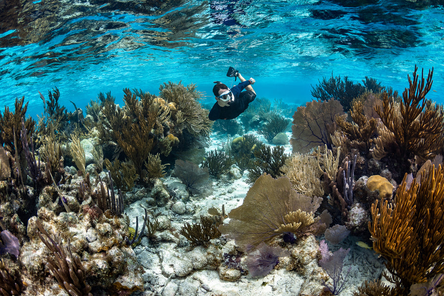 10 Best Snorkeling Spots in Florida