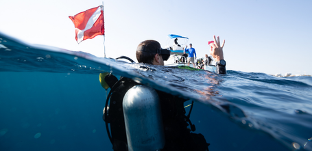 Diver at the surface, signaling to the dive boat