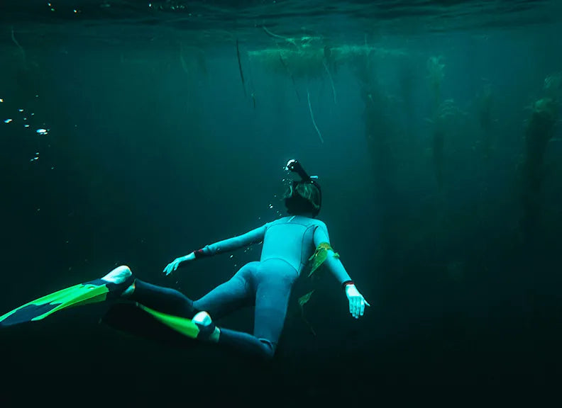 Snorkeler with kelp in the distance