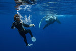 Scubapro Go Travel Fins