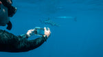 Oceanic+ Dive Housing for iPhones