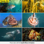 SeaLife Micro 3.0 Pro 3000 Color Boost Set