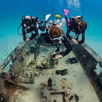 scuba diving fins and wrecks