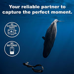 DiveVolk SeaTouch 4 Max Plus