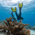 Tusa Hyflex Zoom Splitfins