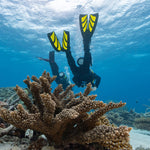 Tusa Hyflex Zoom Splitfins