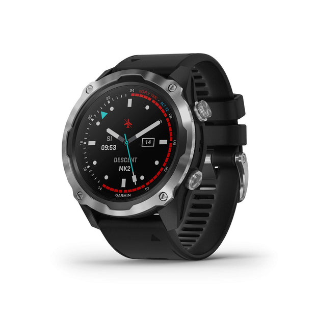 Garmin Descent Mk2, Watch-Style Dive Computer, Multisport Training/Smart Features, Stainless Steel with Black Band, 010-02132-00(Default Title)