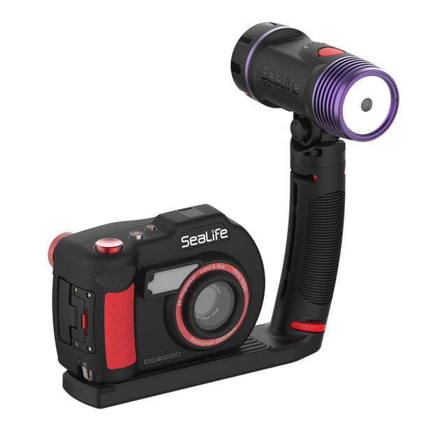 Sea Dragon Fluoro-Dual Beam