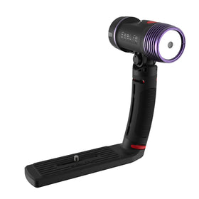 Sea Dragon Fluoro-Dual Beam