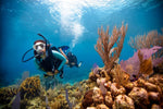 Roatan - Anthony's Key - April 17th - 24th 2027