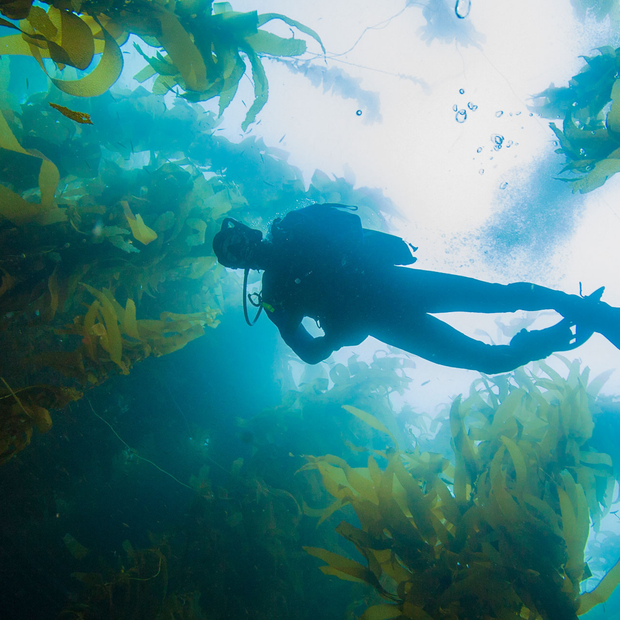 PADI Advanced Open Water Course