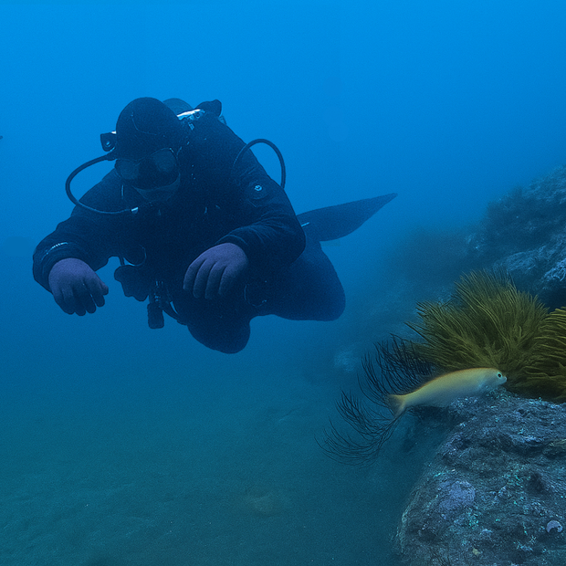 PADI Divemaster Course