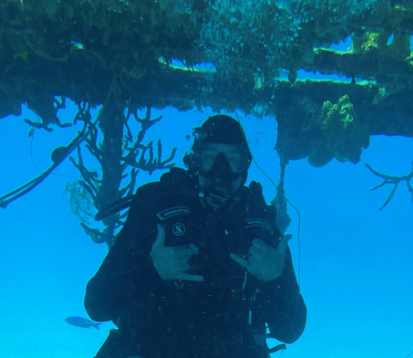 Team Santa Barbara Aquatics Team Santa Barbara Aquatics