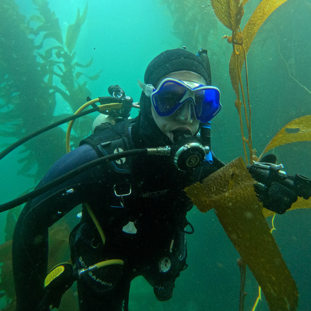 Private PADI Open Water Diver Course