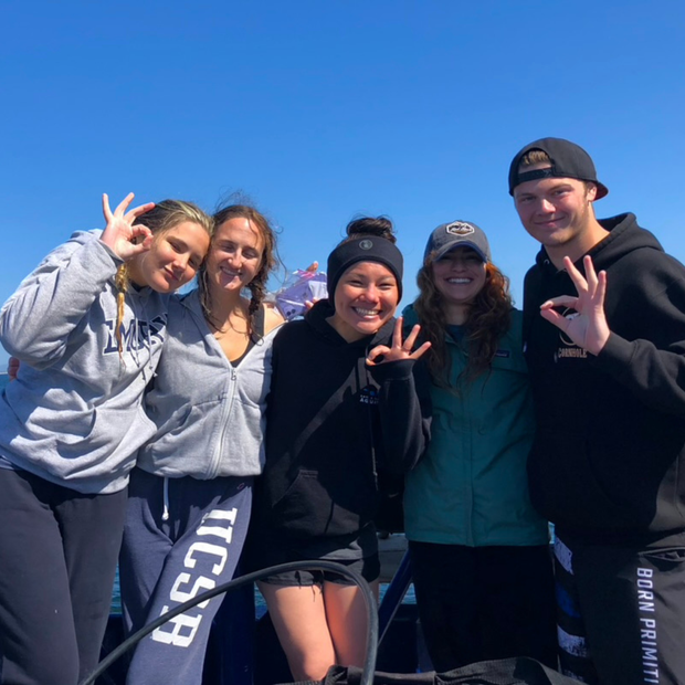 PADI Open Water Diver Course