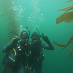 PADI Open Water Diver Course