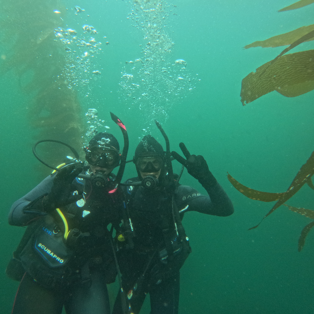 PADI Open Water Diver Course