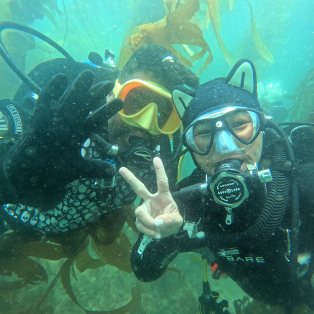 Private PADI Open Water Diver Course