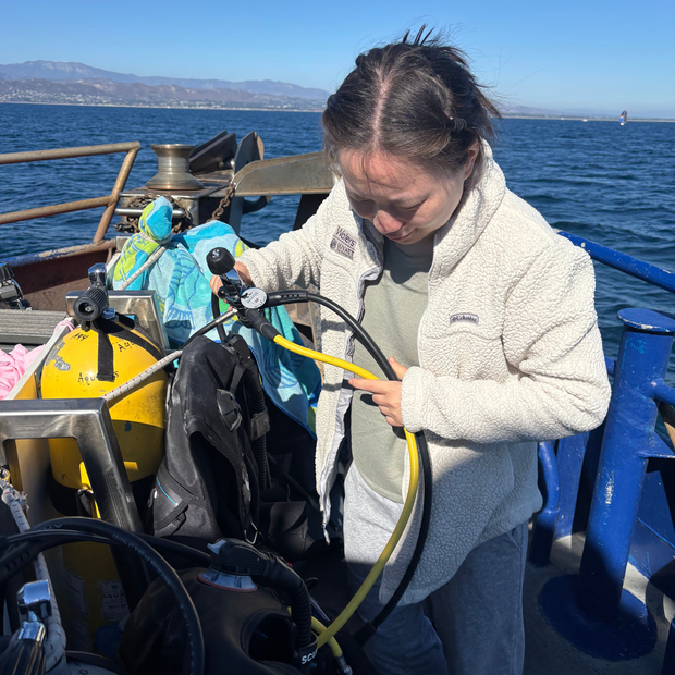 padi gear Private PADI Open Water Course in Santa Barbara | SBA