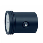 Bigblue Light Head for VTL9000P-MAX