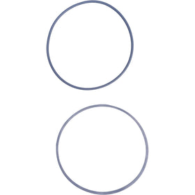 O Rings (2) for Digital Pro Flash