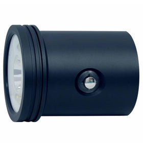 Bigblue Light Head for VTL11000P