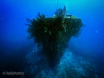 St Lucia - Anse Chastanet Dive Resort - May 9th - 16th 2026