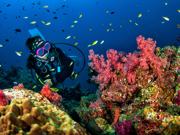 St Lucia - Anse Chastanet Dive Resort - May 9th - 16th 2026(Double Occupancy / Deposit Only)