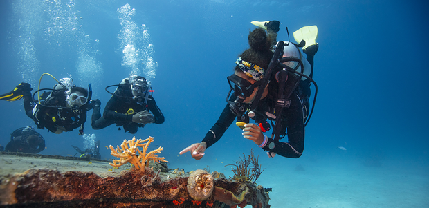 PADI Divemaster Course