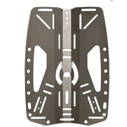 Hollis Stainless Steel Backplate 2.0(Default Title)