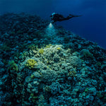 SeaLife Sea Dragon 3000SF Pro Dual Beam Compact Underwater Photo-Video Light