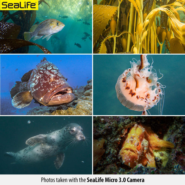 SeaLife Micro 3.0 Pro 3000 Underwater Camera & Light Set