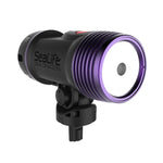 Sea Dragon Fluoro-Dual Beam